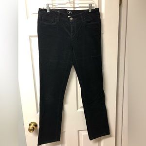 Loft black velvet pants
